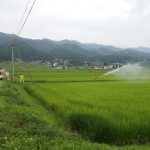 稲の防除作業