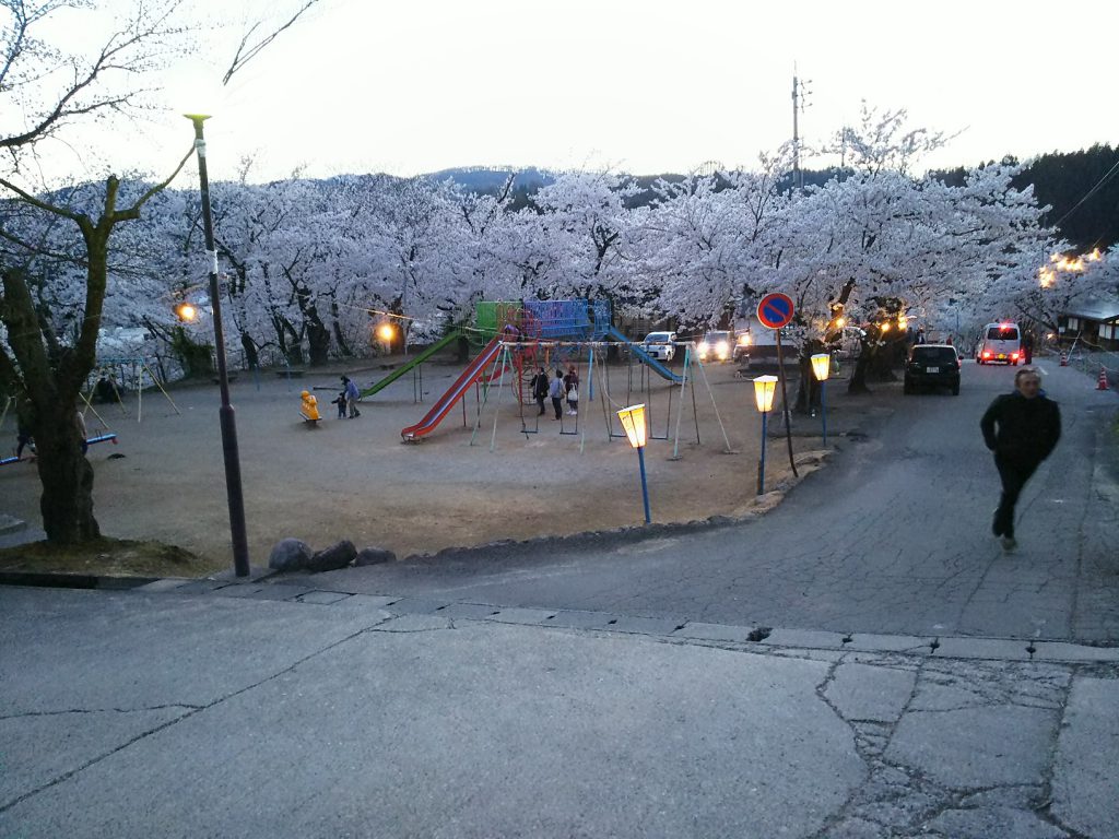 飯山城址公園の桜