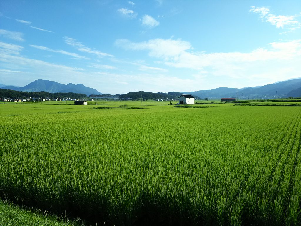 田んぼのある風景