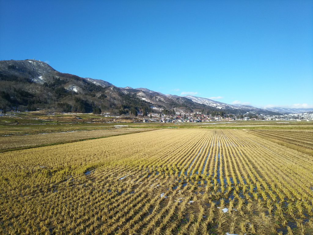 田んぼの風景
