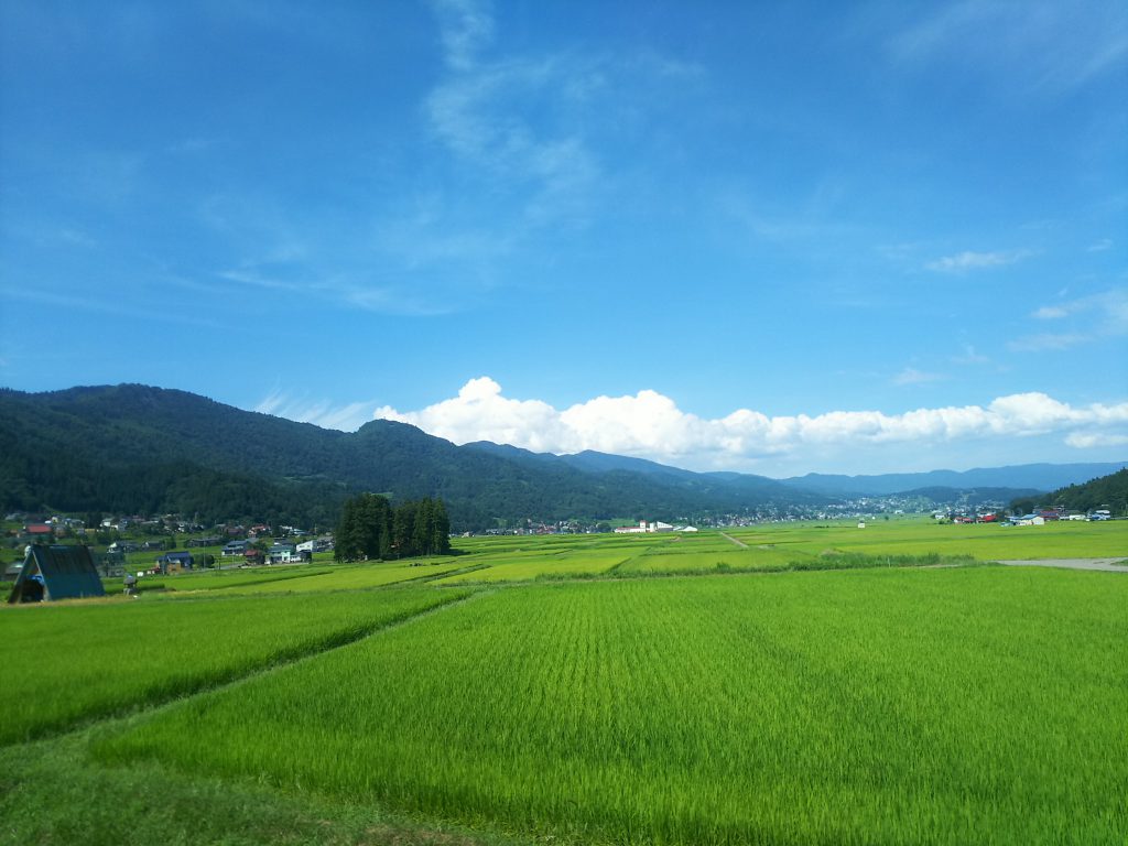 田んぼのある風景