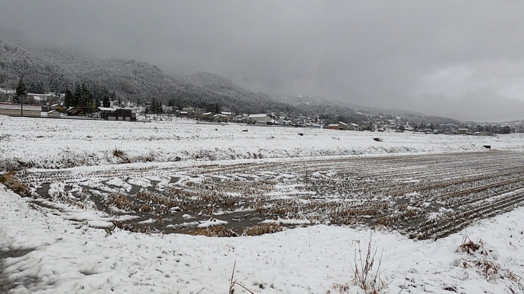 初雪の積もった田んぼの景色