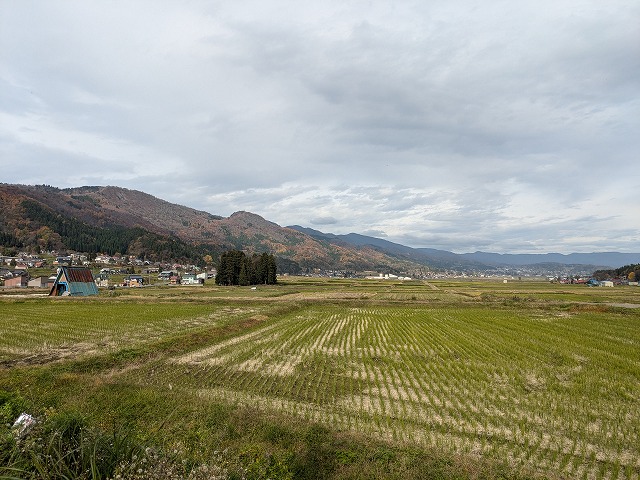 裏山の紅葉