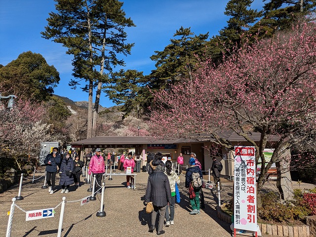 熱海梅園