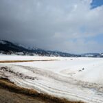 3月26日の田んぼの風景