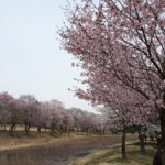 長峰スポーツ公園